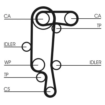 CONTINENTAL CTAM Water Pump & Timing Belt Kit (CT957WP2)