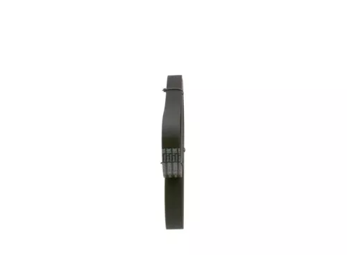 BOSCH V-Ribbed Belt (1987946241)