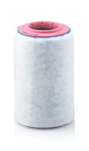 MANN-FILTER Air Filter (C17237/1)