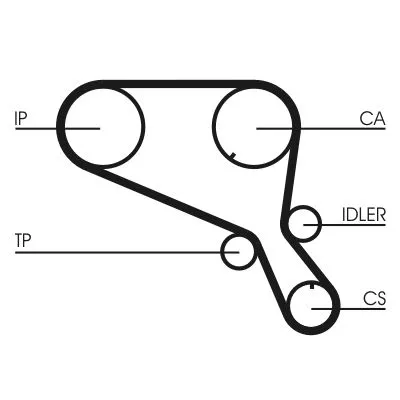 CONTINENTAL CTAM Timing Belt (CT952)