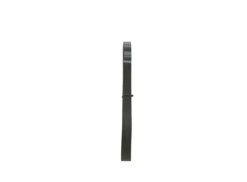 V-Ribbed Belt