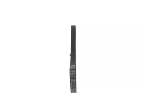 BOSCH V-Ribbed Belt (1987947937)