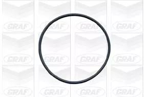 GRAF Water Pump, engine cooling (PA103)