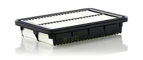MANN-FILTER Air Filter (C22015)