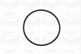 GRAF Water Pump, engine cooling (PA637)