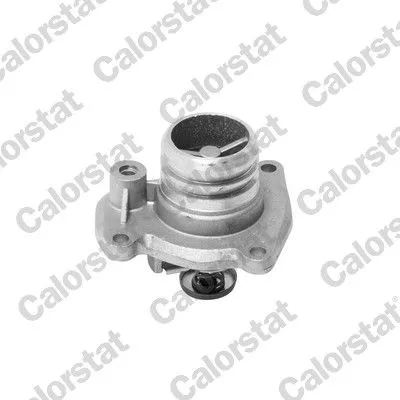 CALORSTAT by Vernet Thermostat, coolant (6951.92J)