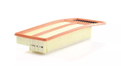 MANN-FILTER Air Filter (C36006/1)