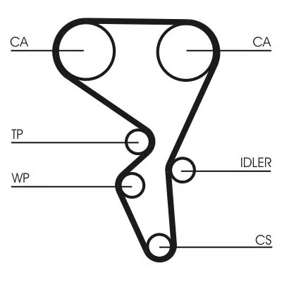CONTINENTAL CTAM Water Pump & Timing Belt Kit (CT1065WP1)