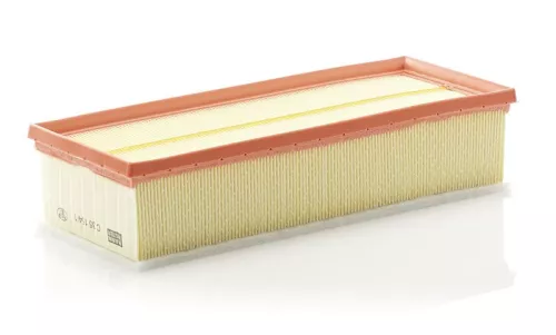 MANN-FILTER Air Filter (C35154/1)