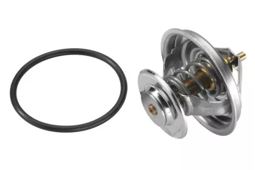 BorgWarner (Wahler) Thermostat, coolant (4105.79D)