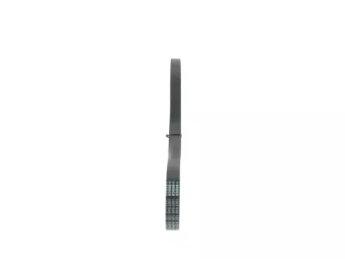 BOSCH V-Ribbed Belt (1987946125)