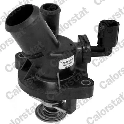 Thermostat, coolant