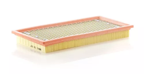 MANN-FILTER Air Filter (C33007)