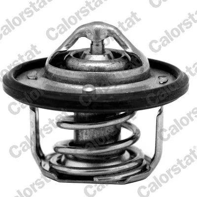 CALORSTAT by Vernet Thermostat, coolant (7084.82J)