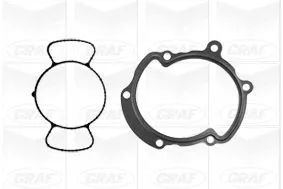 GRAF Water Pump, engine cooling (PA991)
