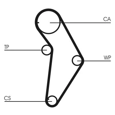 CONTINENTAL CTAM Water Pump & Timing Belt Kit (CT973WP1)