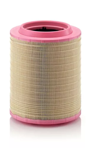MANN-FILTER Air Filter (C331460/1)