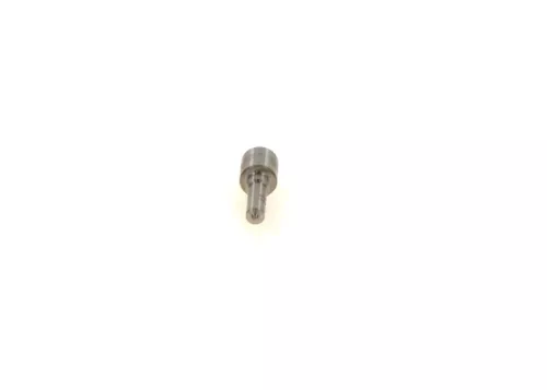 BOSCH Nozzle (0433171963)