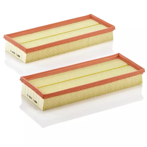 MANN-FILTER Air Filter (C3698/3-2)