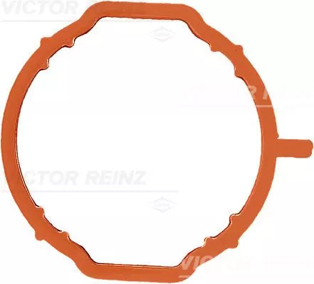 Gasket, intake manifold