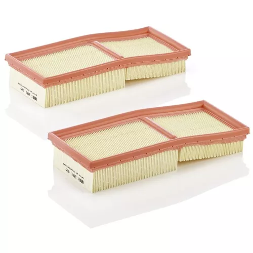 MANN-FILTER Air Filter (C2861-2)