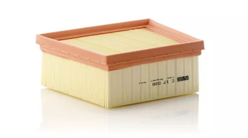 MANN-FILTER Air Filter (C17006)