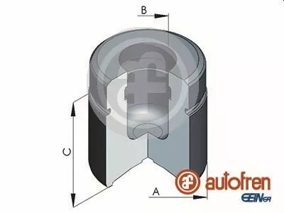 AUTOFREN SEINSA Piston, brake caliper (D025497)