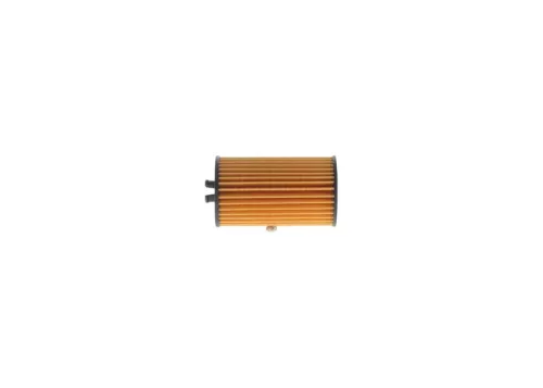 BOSCH Oil Filter (F026407006)