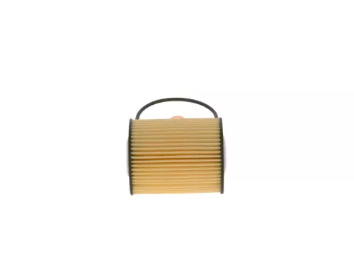 BOSCH Oil Filter (F026407071)