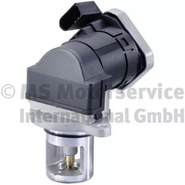 PIERBURG EGR Valve (7.24809.59.0)