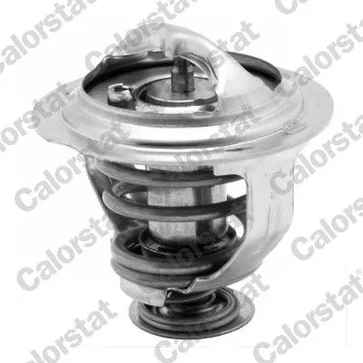 CALORSTAT by Vernet Thermostat, coolant (7233.95J)