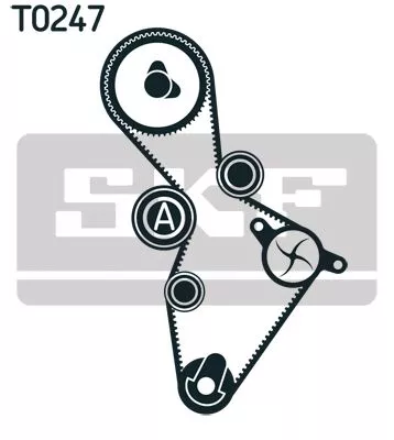 SKF Water Pump & Timing Belt Kit (VKMC01222)