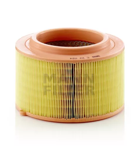 MANN-FILTER Air Filter (C22024)