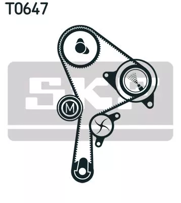 SKF Water Pump & Timing Belt Kit (VKMC06008)