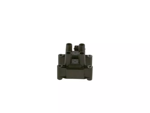 BOSCH Ignition Coil (F01R00A025)