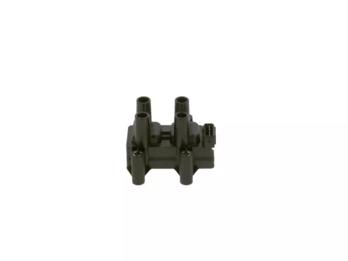 BOSCH Ignition Coil (F01R00A025)