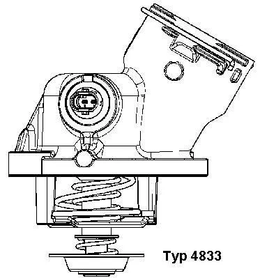 BorgWarner (Wahler) Thermostat, coolant (4833.100D)