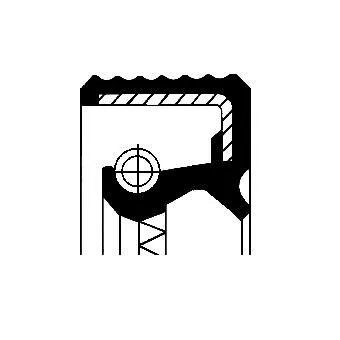 CORTECO Shaft Seal, differential (19026317B)
