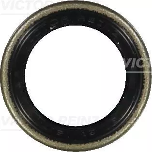 VICTOR REINZ Shaft Seal, crankshaft (81-24010-00)