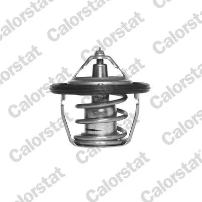 CALORSTAT by Vernet Thermostat, coolant (6736.82J)