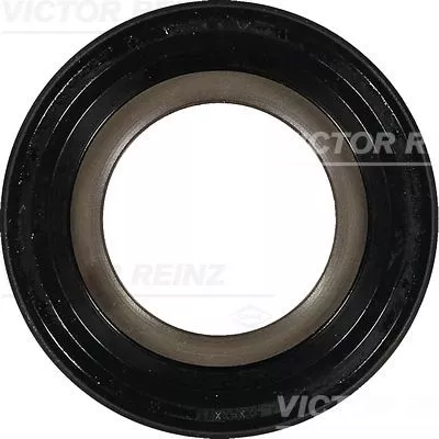 VICTOR REINZ Shaft Seal, crankshaft (81-10369-00)