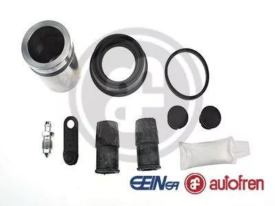 AUTOFREN SEINSA Repair Kit, brake caliper (D42441C)