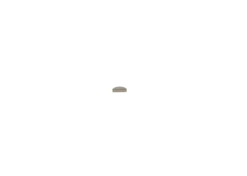 BOSCH Spring (1900023005)