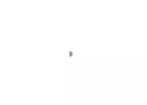 BOSCH Spring (1900023005)