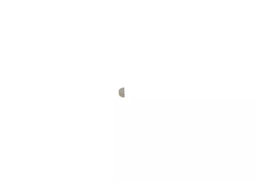 BOSCH Spring (1900023005)