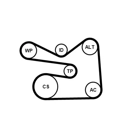 CONTINENTAL CTAM V-ribbed Belt Set (6PK1733K3)