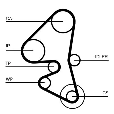 CONTINENTAL CTAM Timing Belt (CT1203)