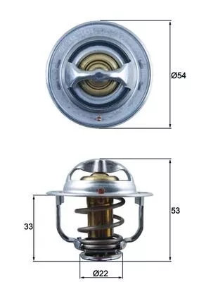 MAHLE Thermostat, coolant (TX17989D)
