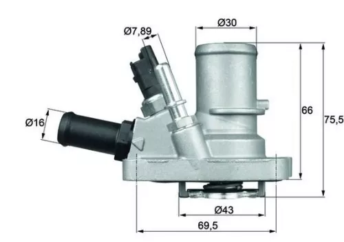 Thermostat, coolant
