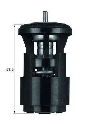 MAHLE Thermostat, coolant (TX4187D)